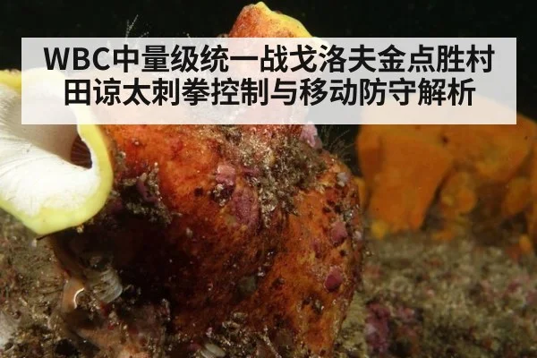 WBC中量级统一战戈洛夫金点胜村田谅太刺拳控制与移动防守解析