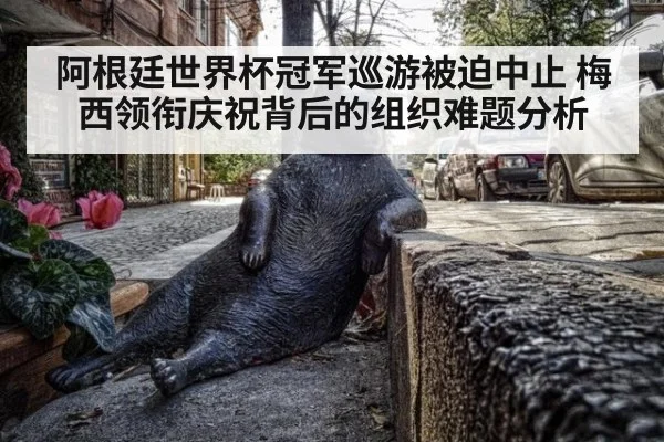 阿根廷世界杯冠军巡游被迫中止 梅西领衔庆祝背后的组织难题分析